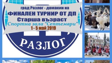 Волейбол ДГ