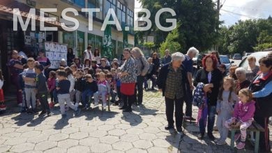 Дупница