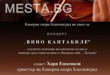 Камерна опера1