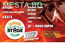 Фестивал1