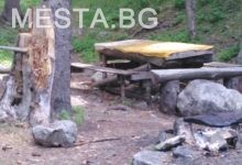 Валевицата