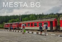 Теснолинейка