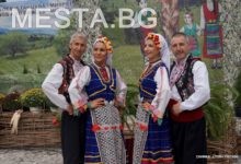 СТРУМЯНИ МАЛЕШЕВО СЪБОР
