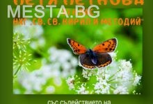 РИМ 2