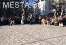 Старчевата,разлог