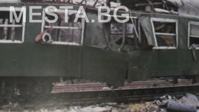 терор,влак