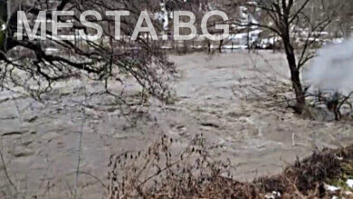 вода,наводнение,река